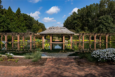 Your Typical Alabama Catfish Pond