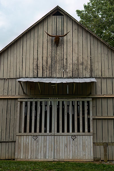 Longhorn Barn