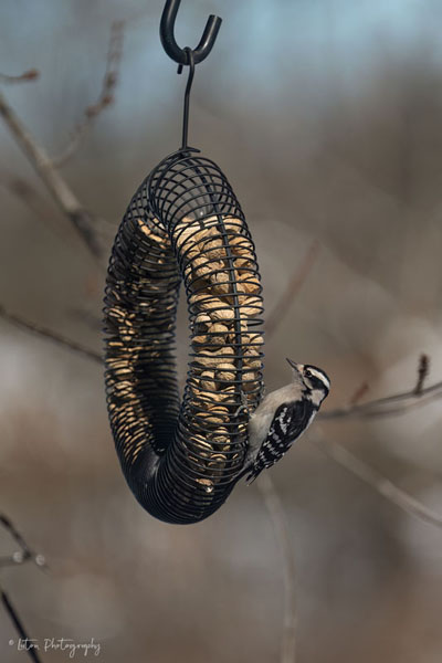 Looking Over Today's Selections