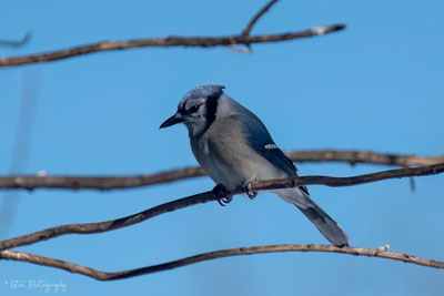 You Are Being Judged