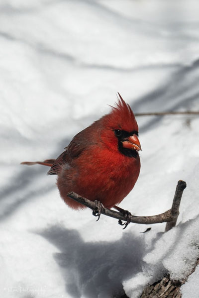 Making The Best Of A Bad Situation