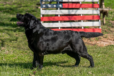 Twin River's Caney Fork Legend'Cain'