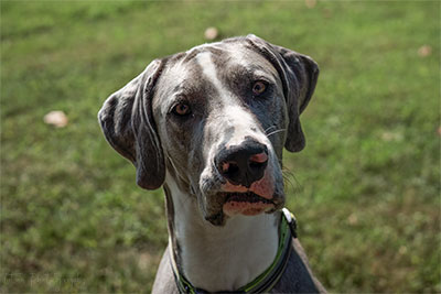 You Thinkin' What I'm A Thinkin'?