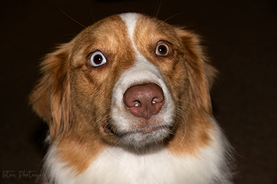 Meet My Niece, Bonnie