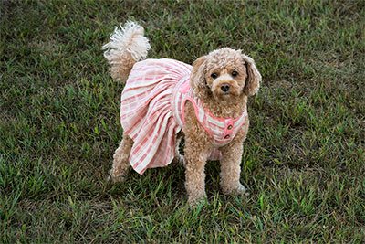 Sporting Her Summer Wear