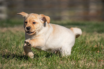 Today Is Going To Be A Good Day