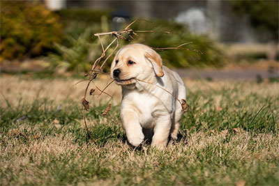 Branch Manager... sorry, I'll let myself out now.