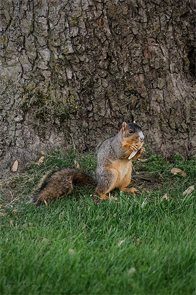 I'd Rather You Not Watch Me Eat, Thank You