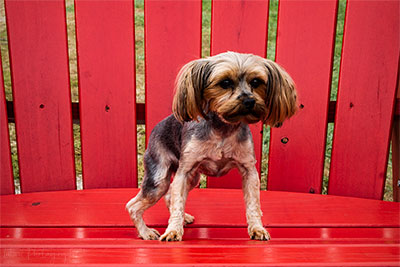 This Is Just Plain Awkward