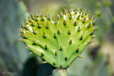 Deep In The Hart Of Texas