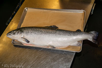 A Fish Out Of Water Is About To Be A Fish On Your Plate