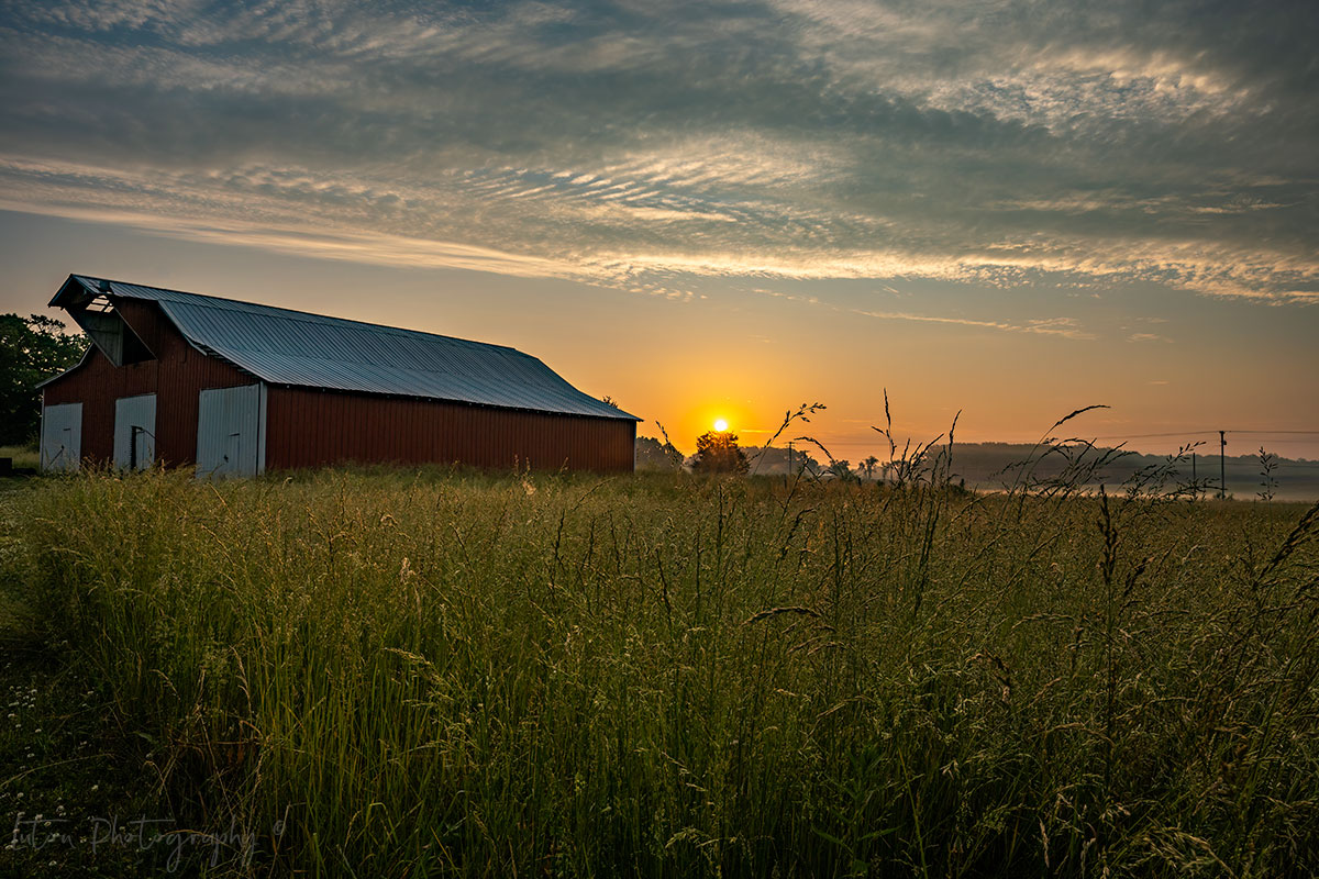 Sunrise On The Farm