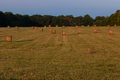 Hay Rolls At Sunset