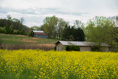 Somewhere In Jackson County