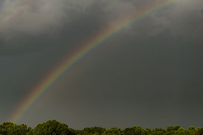 Rainbow, Not To Be Confused With Rambo