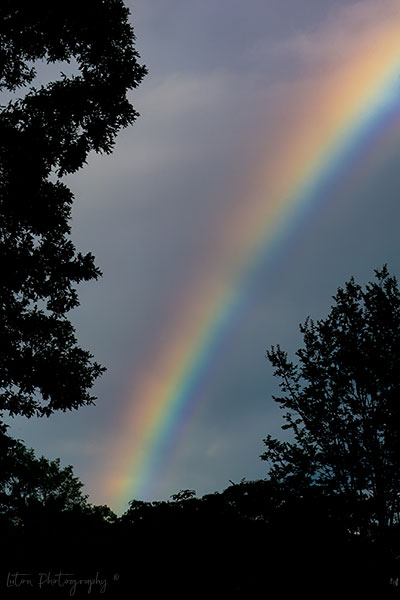 Wind Swept Rainbow