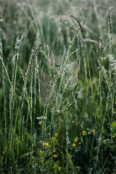 They Started Their Day Early