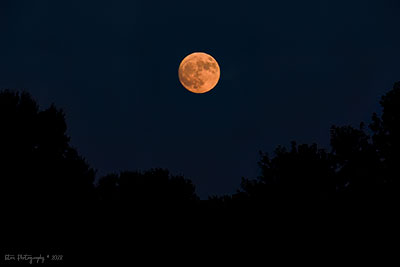 Sturgeon Moon July 31, 2023