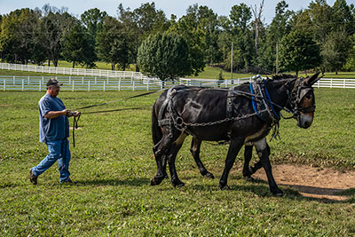 Hitchen' Up The Boys