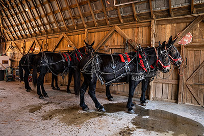 All Dressed & Ready To Go