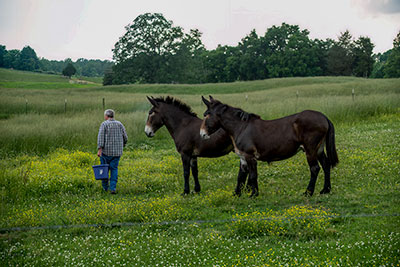 Burt, Rube, & Mark... Who Is Who?