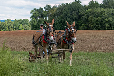 Danny Checking The Field