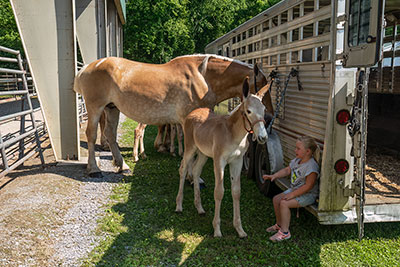 Whoa Now Little Feller