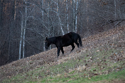 It's All Downhill From Here