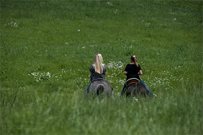Field Of Dreams, With A Splash Of Girl Talk