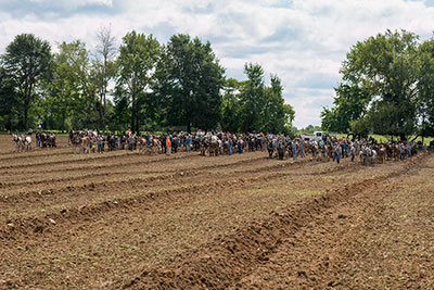 91 Teams Lined Up To Brake The Guinness World Record