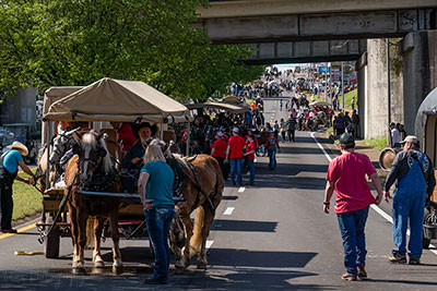 Lining Up For The Mule Day Parade In Columbia, TN