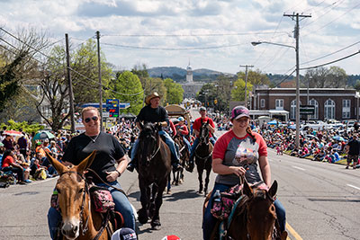 Riding The Parade Route