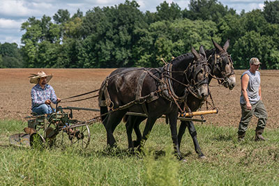 A 'Helper' Was Required For The Plow Record