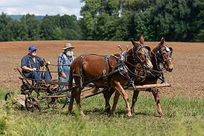 The 'Helper' Was To Assist If The Plow Got Bogged Down In The Wet Field