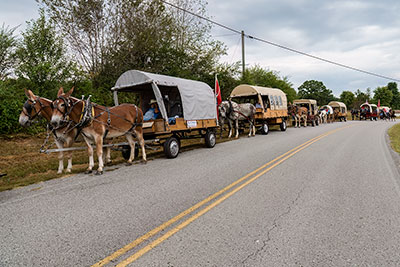 Time To Rest The Mules