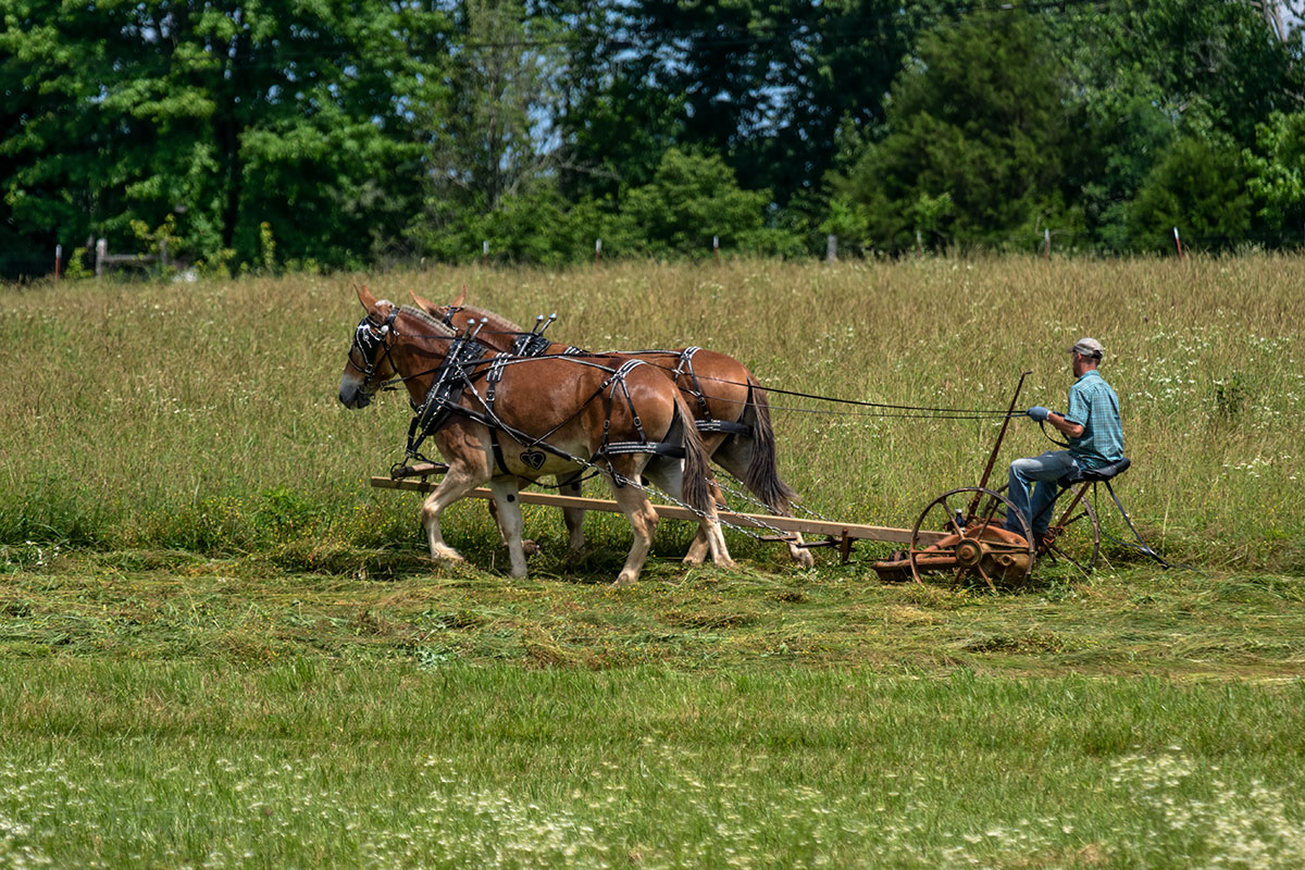 Hay Cutting At Short Mountain Distillery