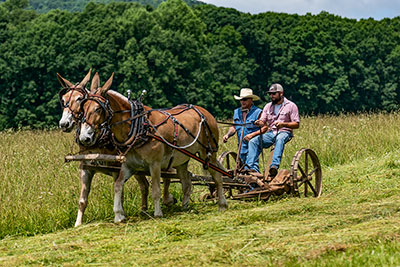 You're Never Too Old To Learn