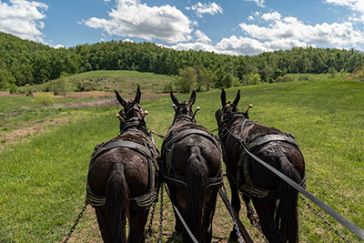 Riding Around Short Mountain Distillery With Donny & Jimmy