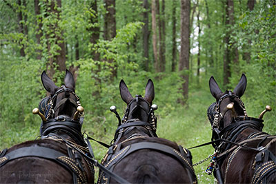 Spring Ride At Short Mountain Distillery With Donny & Jimmy