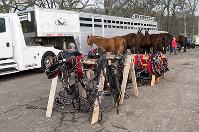 Waiting To Get Dressed