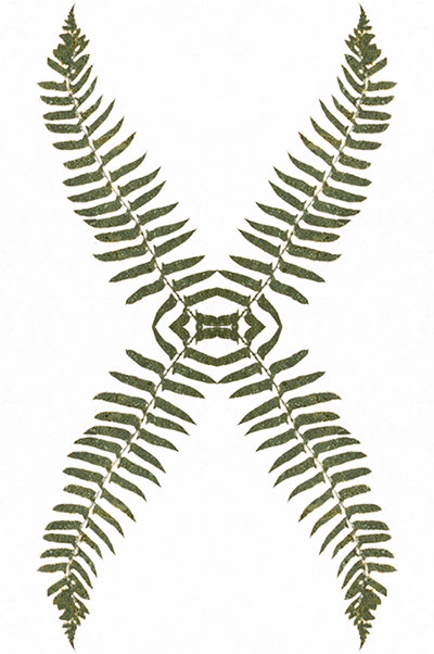 Fern Leaf Squared
