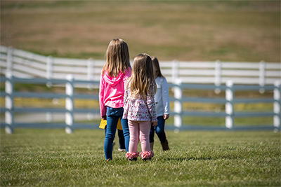 What Could They Be Plotting?