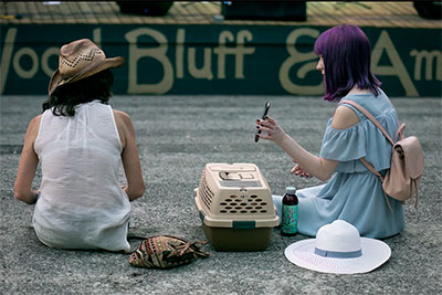 I Just Wanna Know, What Is In The Pet Carrier