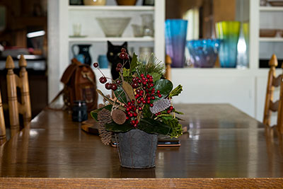 Carlo And The Depth-Of-Field Test