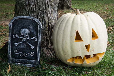 A Bad Omen For The Albino Pumpkin