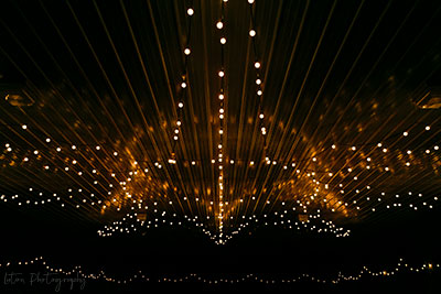 Pavilion Lights