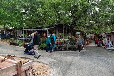 Market Days, Wimberley, TX