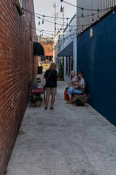 Shady Alley Girls