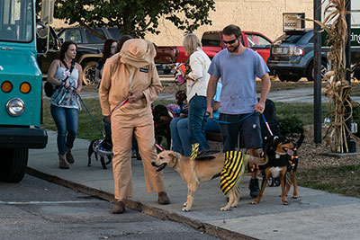 Halloween Gone To The Dogs