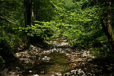 Somewhere Along Dry Creek